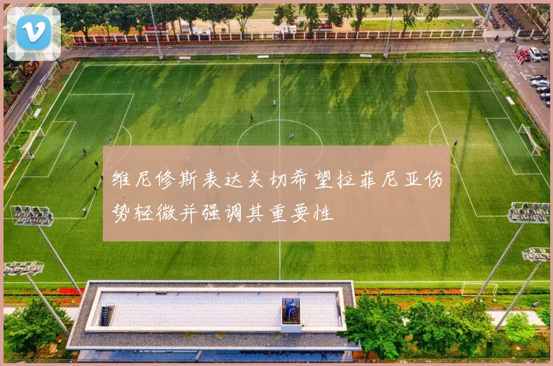 维尼修斯表达关切希望拉菲尼亚伤势轻微并强调其重要性